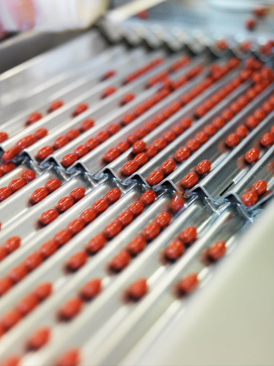 Our Production Standards | Excellence in Quality and Safety